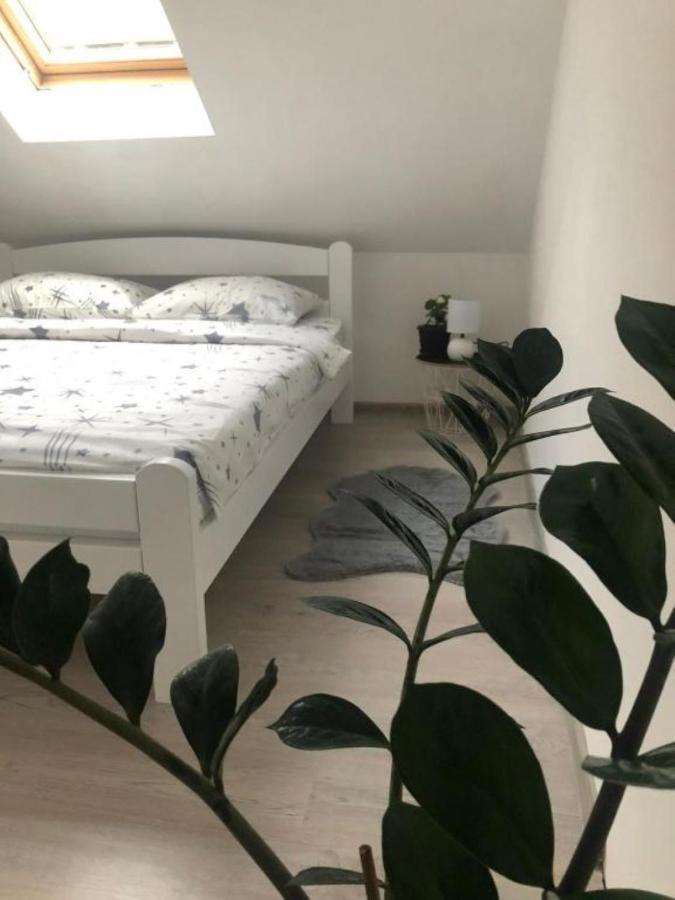 Peaceful Apartment Плужине Экстерьер фото